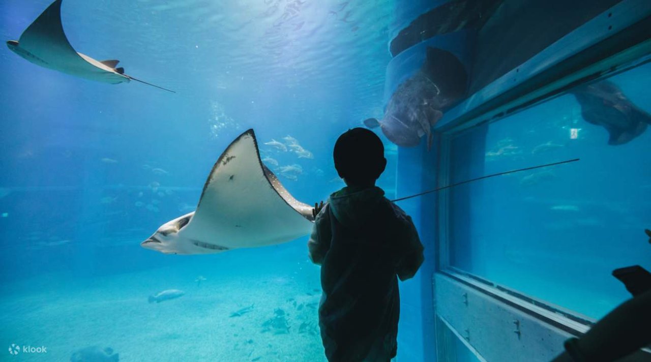 Osaka Aquarium Kaiyukan