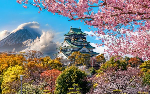 Osaka Castle during sakura season Spring