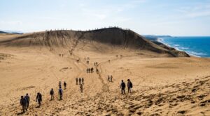 Visitors explore golden sand dunes along the coast, enjoying the scenic landscape and breathtaking ocean views.