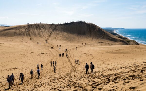 Visitors explore golden sand dunes along the coast, enjoying the scenic landscape and breathtaking ocean views.