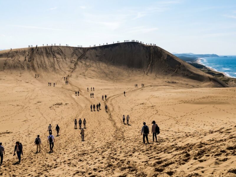 Visitors explore golden sand dunes along the coast, enjoying the scenic landscape and breathtaking ocean views.